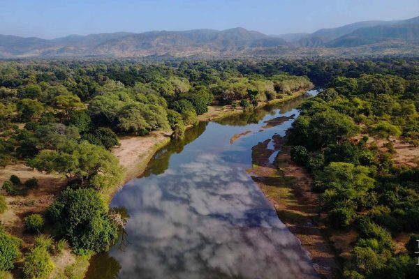 Zambia birding tours