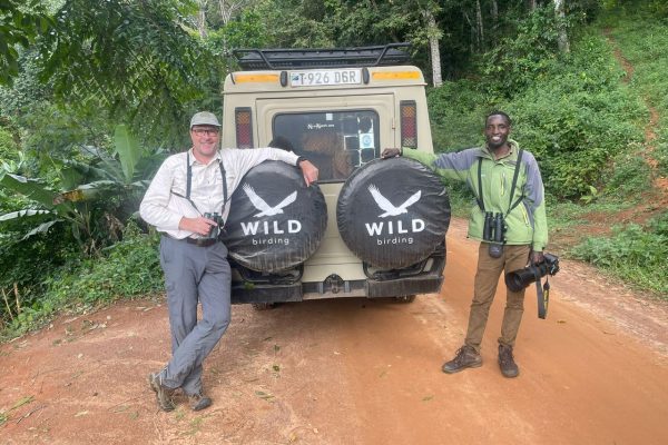 Tanzania birding tours