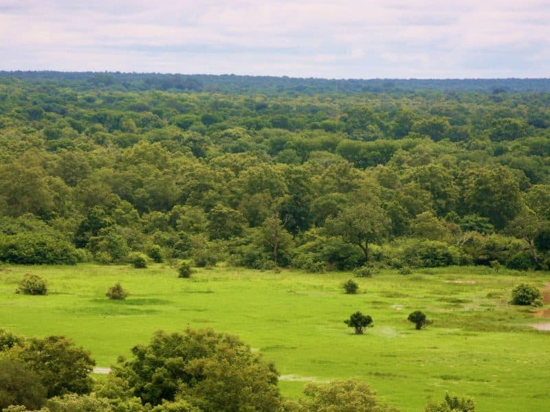 Ghana birding tours
