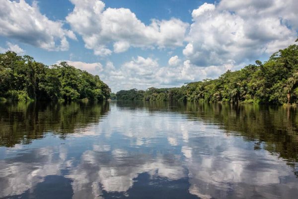 Congo birding tours