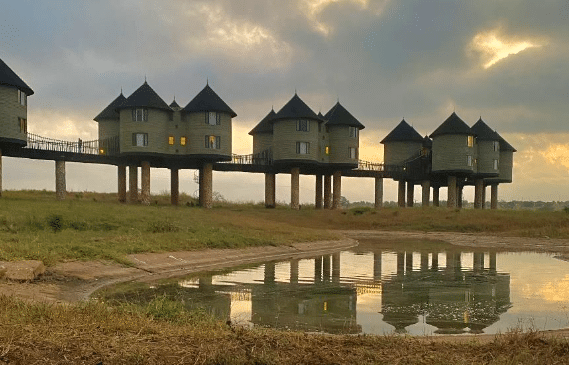 Taita Hills Wildlife Sanctuary birding tours