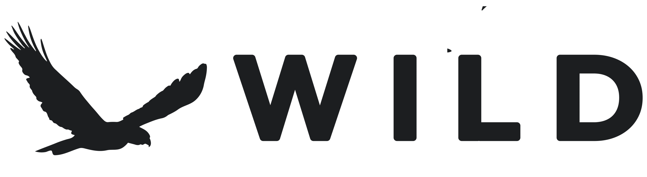 Birding tours in Africa