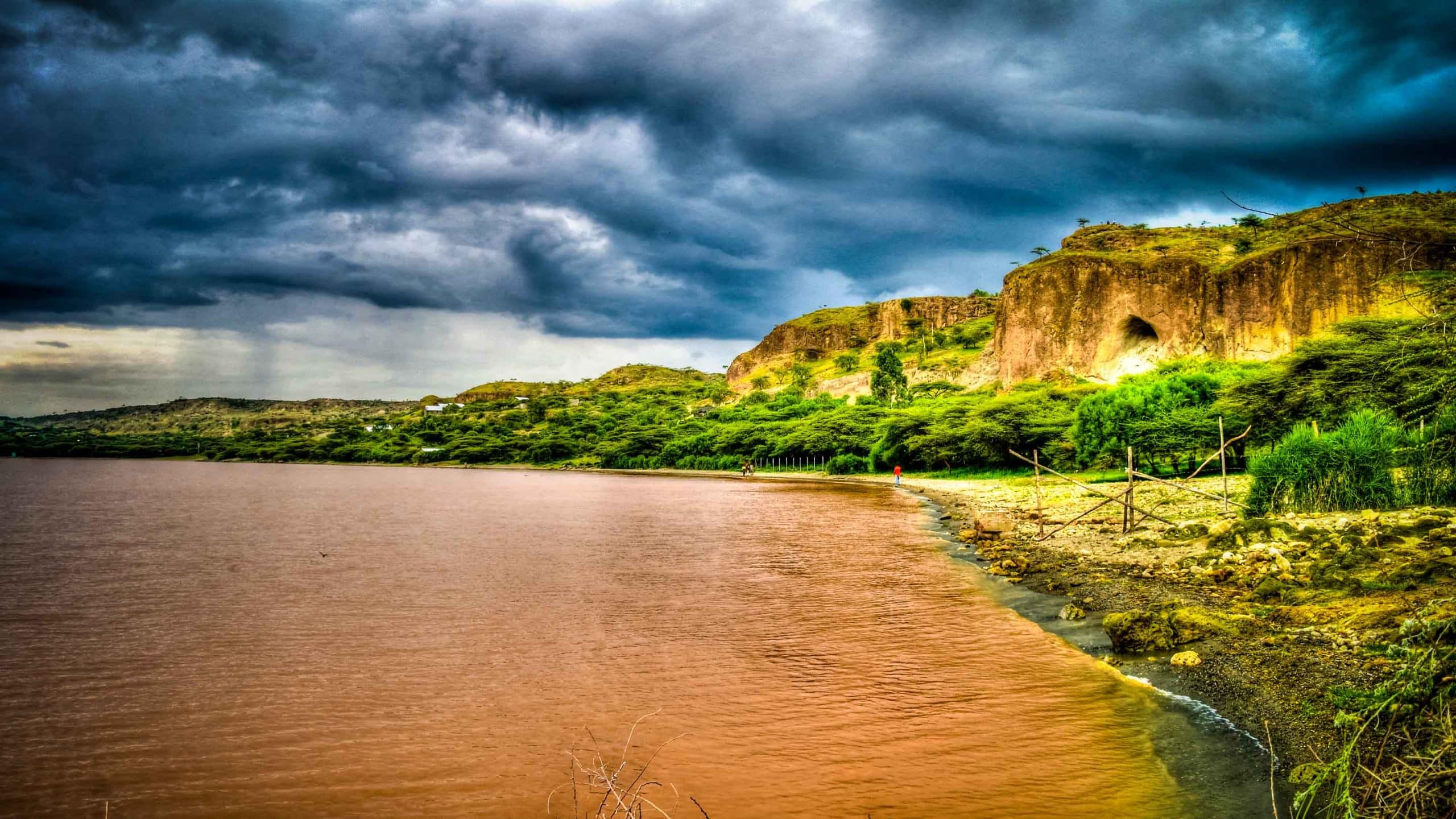 Ethiopia birding tours