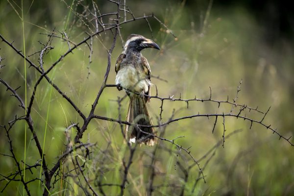 49797110732_e7f3a09e6b_k